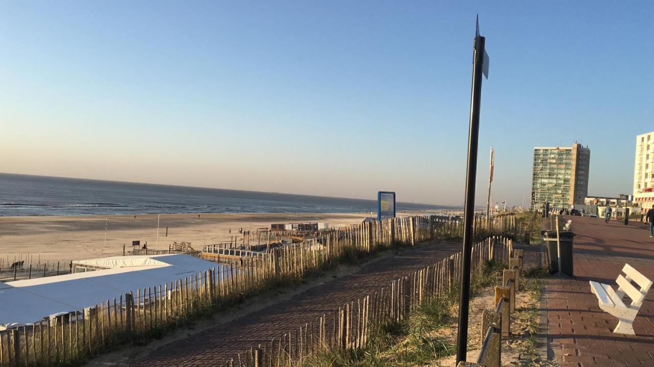 Beachstudio De Schelp Apartment *